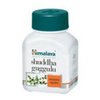 online-pharmacy-e-Shuddha Guggulu